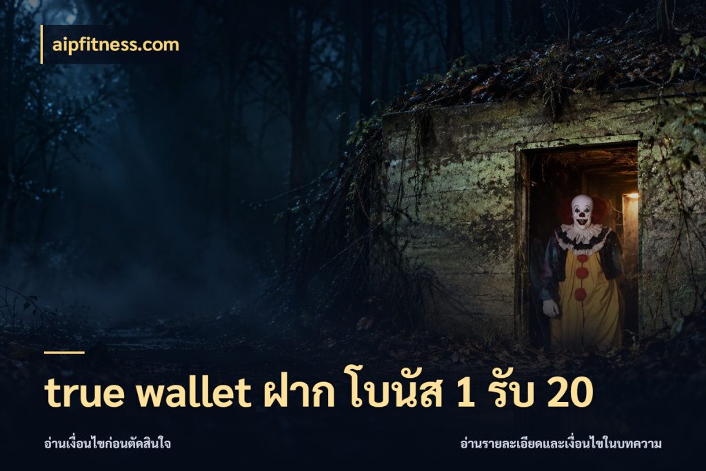 true wallet ฝาก โบนัส 1 รับ 20 โปรยอดรับที่สายเกมสนใจ กับ aipfitness.com